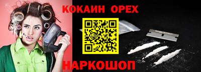 крисы Шебекино